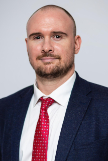 Лев  Родионов, Caready