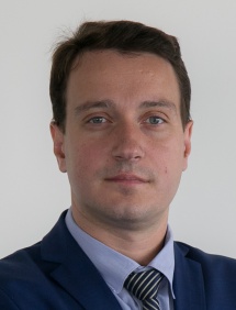 Роман Зенонович Максимов, ППГ Индастриз